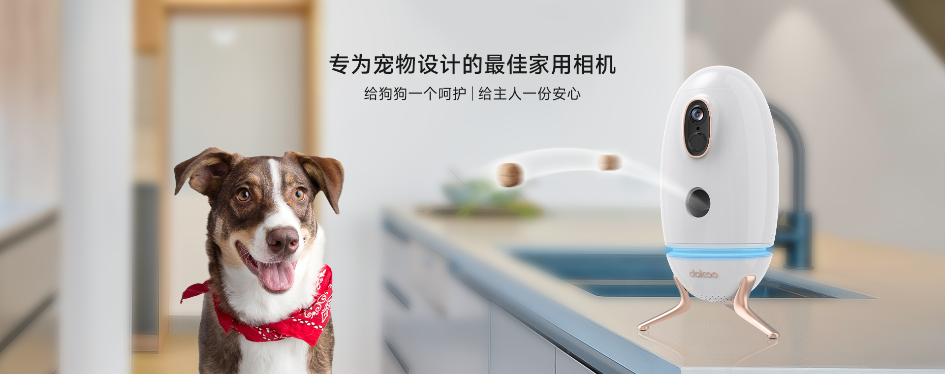 智目科技ZhiMu Tech Dokoo智能寵物(wù)投食器
